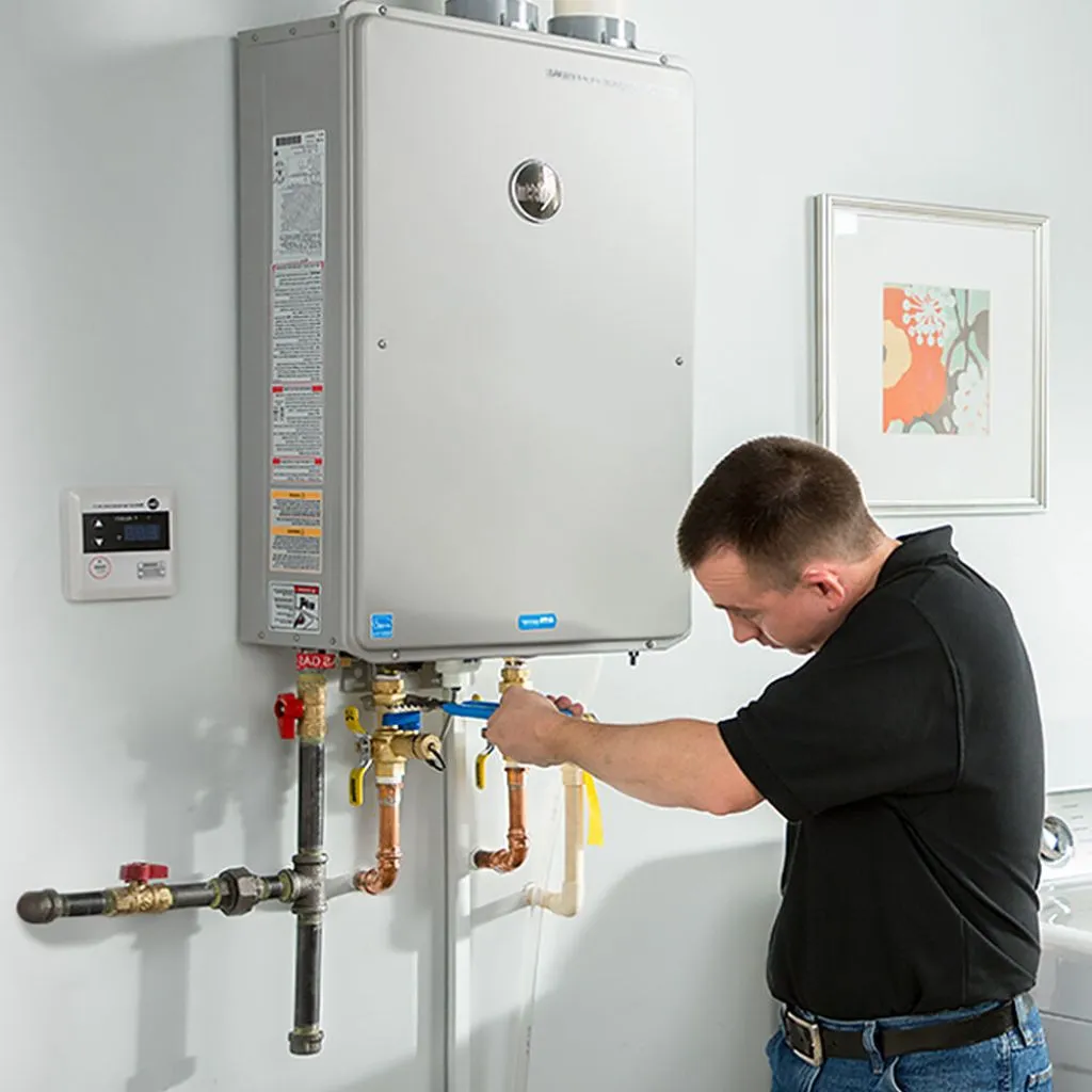 tankless water heater repair in Hector, NY